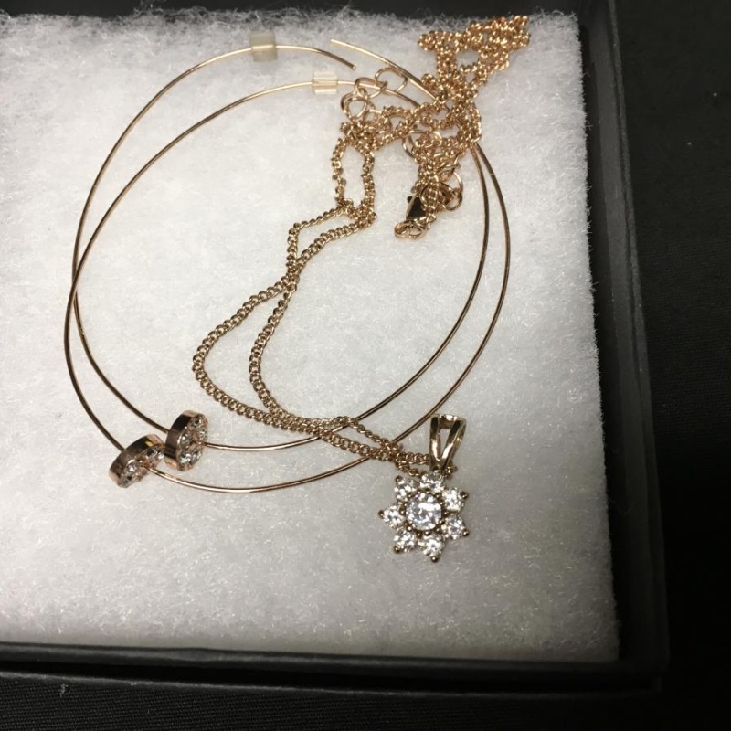 Charter Club Rose tone Necklace and hoop earrings